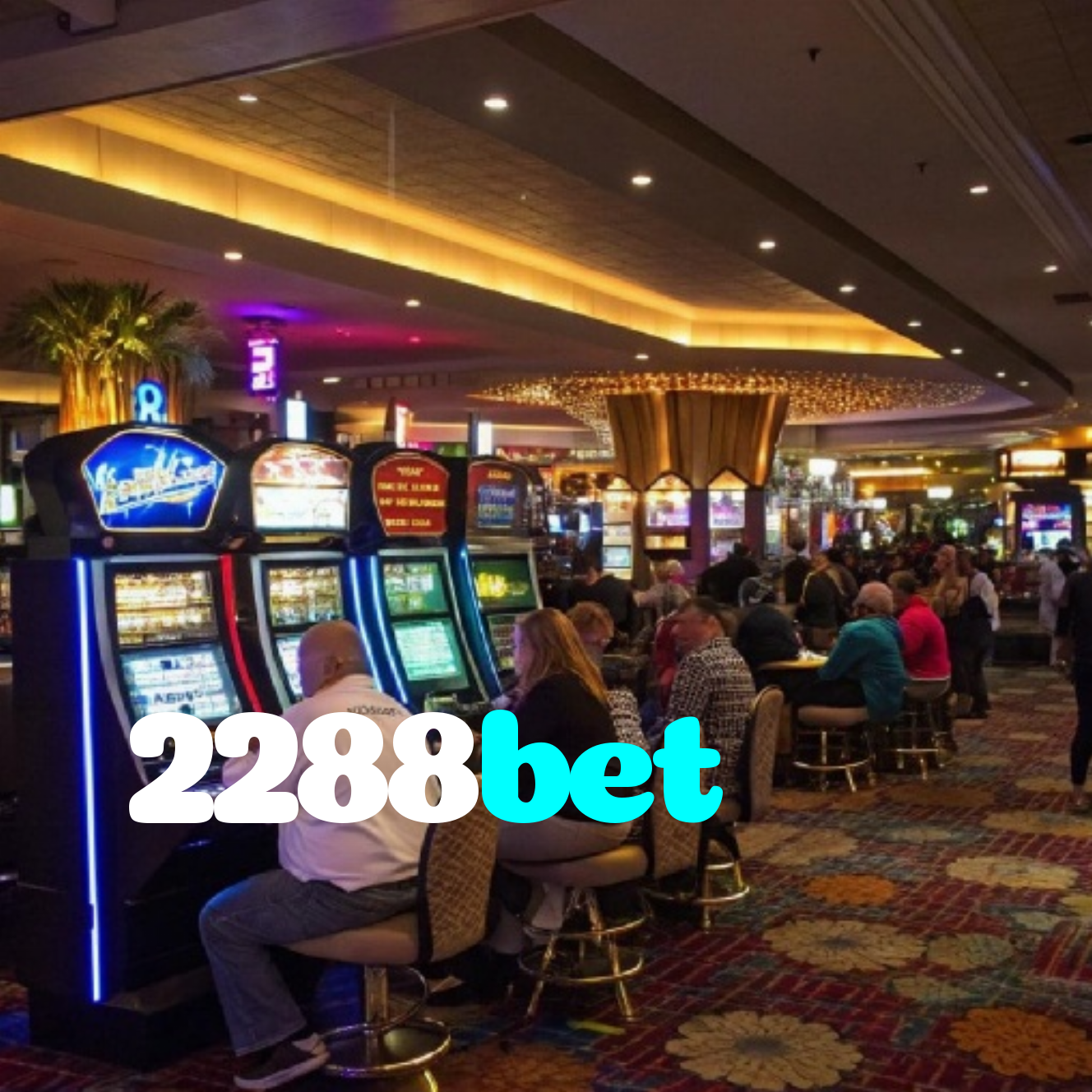 2288bet