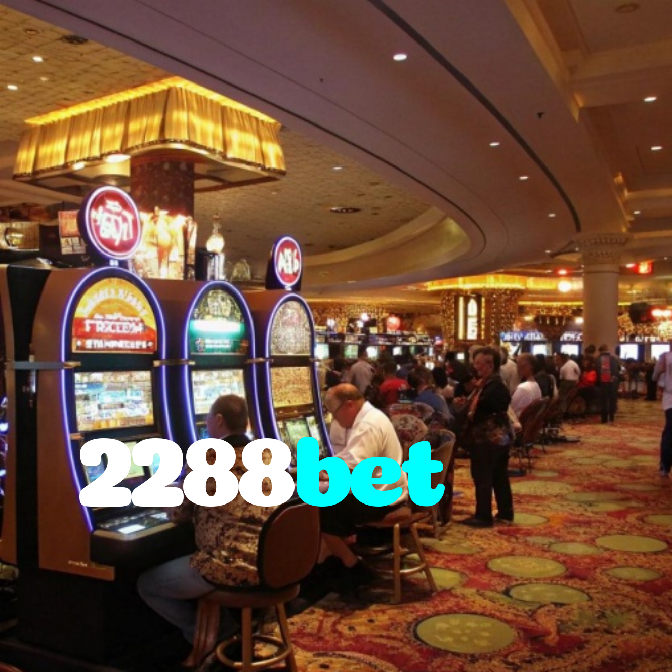 2288bet