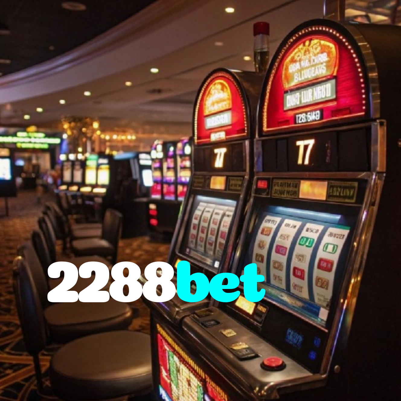 2288bet